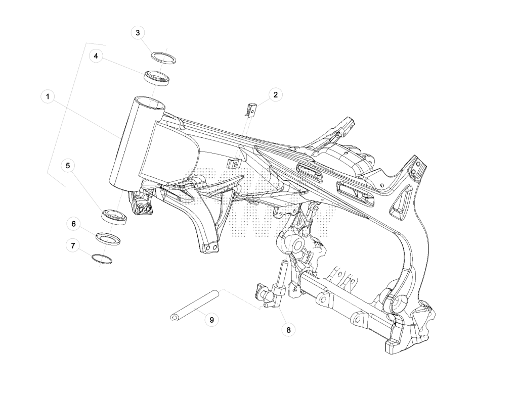 beta_244_012.png