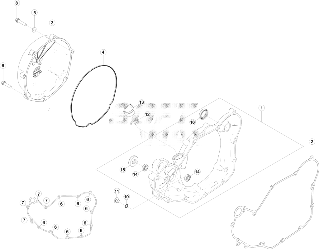 beta_305_002.png