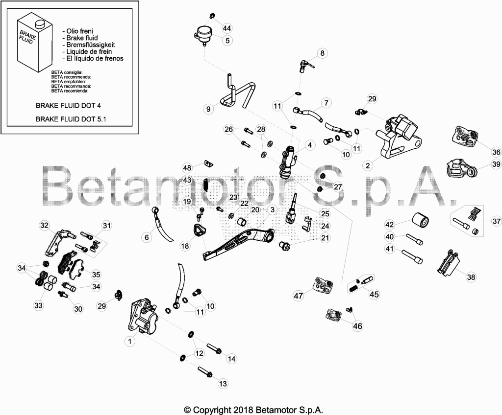 beta_332_019.png