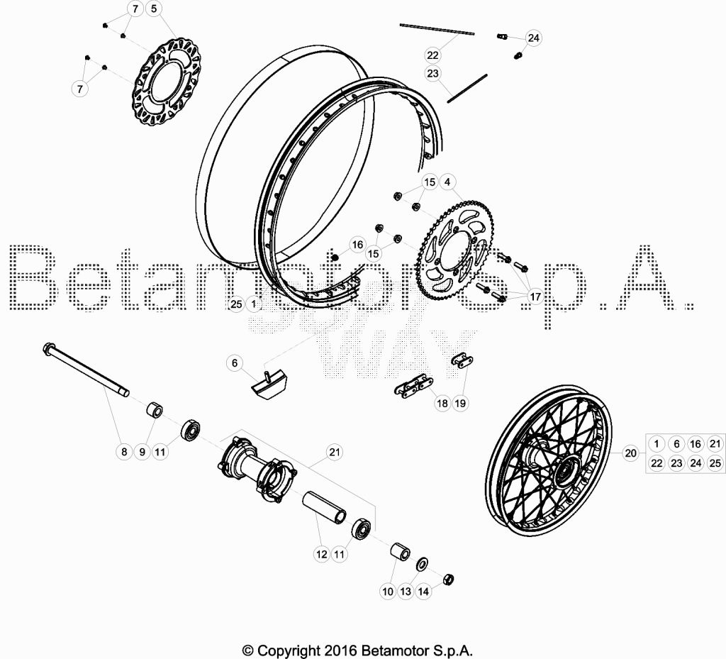 beta_445_022.png