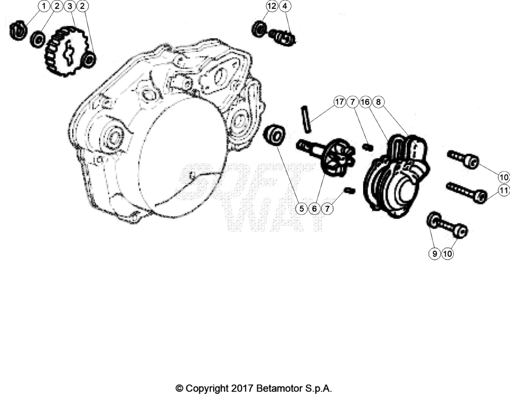 beta_738_009.png
