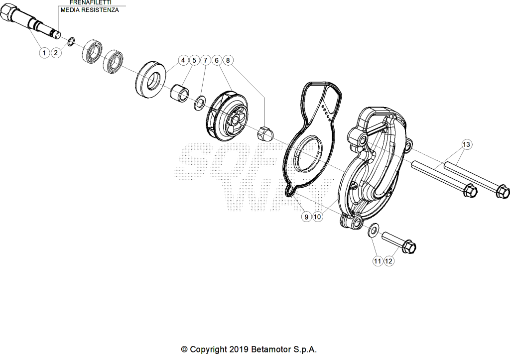 beta_950_009.png